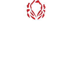 Achy Bones Hemp Salves, Gummies, And Tinctures